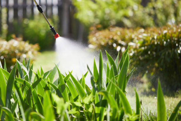 24/7 Emergency Mosquito Control experts in Mayfield, OH